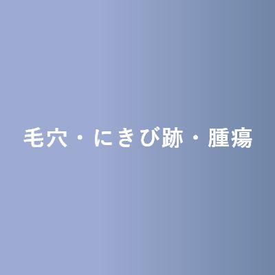 毛穴・にきび跡・腫瘍